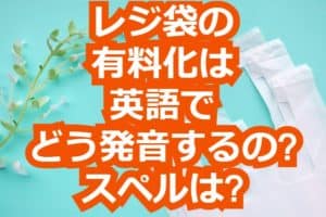 レジ袋の有料化は英語でどう発音するの スペルは